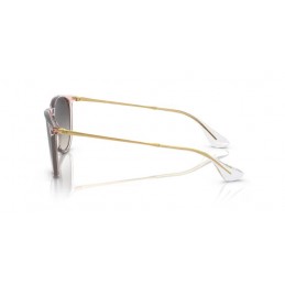 Ray Ban RB4171 674211 ERIKA Ray Ban RB4171 674211 ERIKA