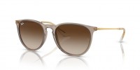 Ray Ban RB4171 674413 ERIKA