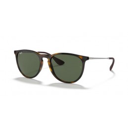 Ray Ban RB4171 710/71 ERIKA Ray Ban RB4171 710/71 ERIKA