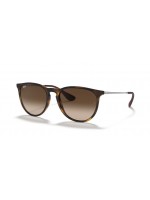 Ray Ban RB4171 865/13 ERIKA