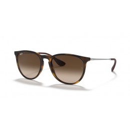 Ray Ban RB4171 865/13 ERIKA Ray Ban RB4171 865/13 ERIKA