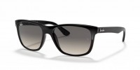 Ray Ban RB4181 601/71