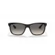 Ray Ban RB4181 601/71 Ray Ban RB4181 601/71