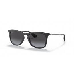 Ray Ban RB4221 622/8G Ray Ban RB4221 622/8G