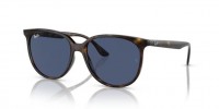 Ray Ban RB4378 710/80