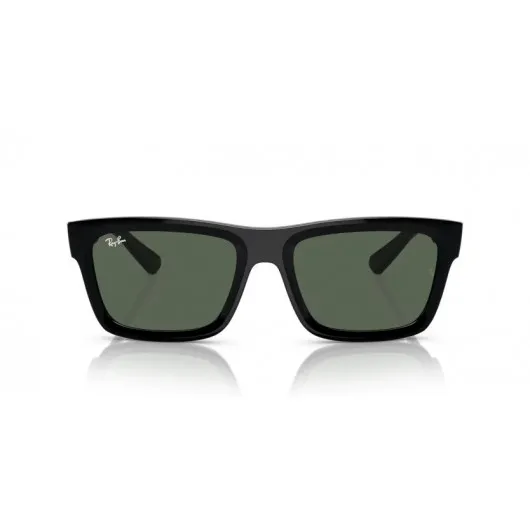 Ray Ban WARREN RB4396 667771 Ray Ban WARREN RB4396 667771