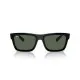 Ray Ban WARREN RB4396 667771 Ray Ban WARREN RB4396 667771
