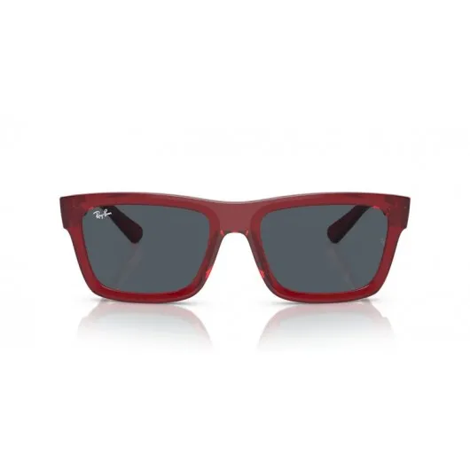 Ray Ban WARREN RB4396 667987 Ray Ban WARREN RB4396 667987