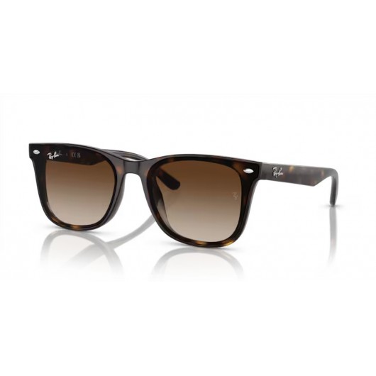 Ray Ban RB4420 710/13