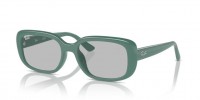 Ray Ban RB4421D 676287