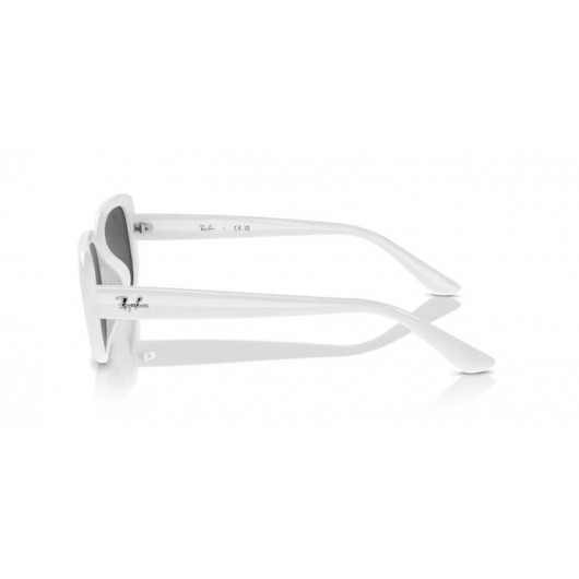 Ray Ban RB4421D 677287 Ray Ban RB4421D 677287