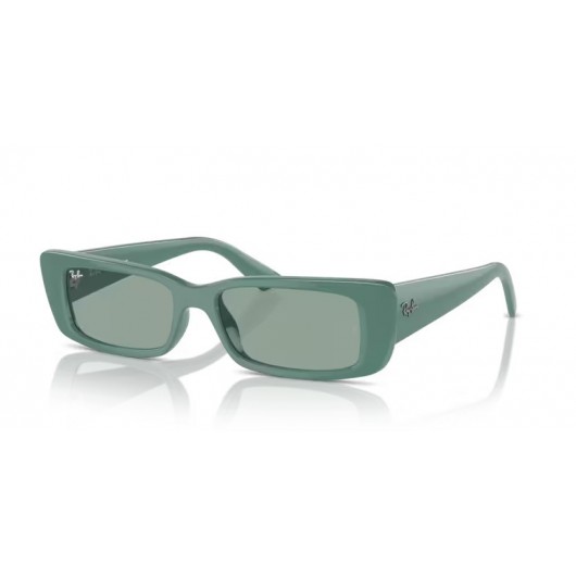 Ray Ban Teru RB4425 676282