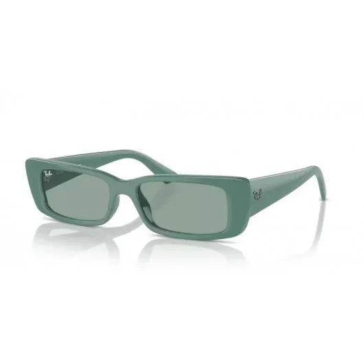 Ray Ban Teru RB4425 676282 Ray Ban Teru RB4425 676282