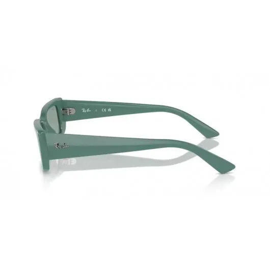 Ray Ban Teru RB4425 676282 Ray Ban Teru RB4425 676282