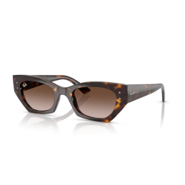 Ray Ban Zena RB4430 135913 Ray Ban Zena RB4430 135913