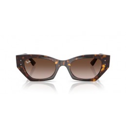 Ray Ban Zena RB4430 135913