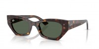 Ray Ban Zena RB4430 135971