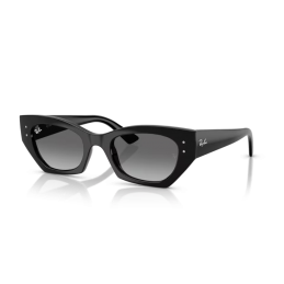 Ray Ban Zena RB4430 667711 Ray Ban Zena RB4430 667711