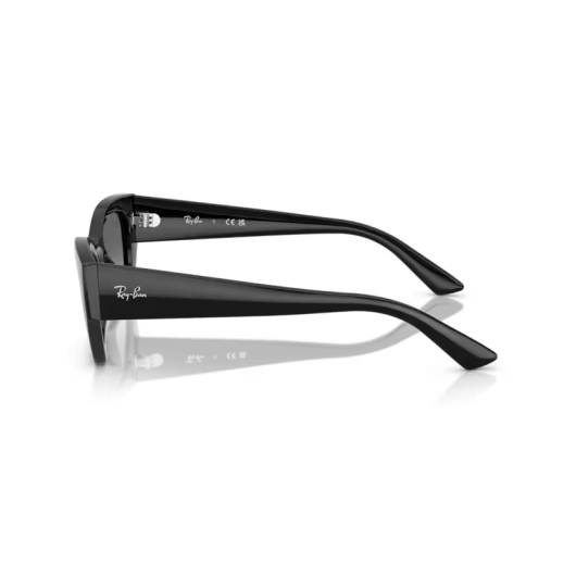 Ray Ban Zena RB4430 667711 Ray Ban Zena RB4430 667711