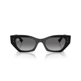 Ray Ban Zena RB4430 667711 Ray Ban Zena RB4430 667711