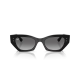 Ray Ban Zena RB4430 667711 Ray Ban Zena RB4430 667711
