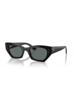 Ray Ban Zena RB4430 667781 Ray Ban Zena RB4430 667781