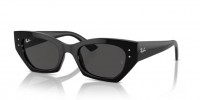 Ray Ban Zena RB4430 667787