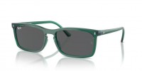 Ray Ban RB4435 6615B1