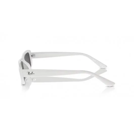 Ray Ban RB4436D 677287 Ray Ban RB4436D 677287
