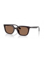 Ray Ban RB4439D 623173