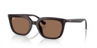 Ray Ban RB4439D 623173
