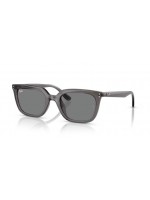 Ray Ban RB4439D 667587 Ray Ban RB4439D 667587