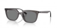 Ray Ban RB4439D 667587
