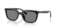 Ray Ban RB4439D 710/87