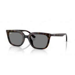 Ray Ban RB4439D 710/87