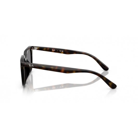 Ray Ban RB4439D 710/87 Ray Ban RB4439D 710/87