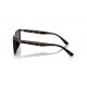 Ray Ban RB4439D 710/87 Ray Ban RB4439D 710/87