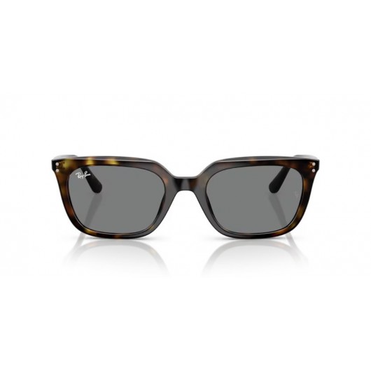 Ray Ban RB4439D 710/87 Ray Ban RB4439D 710/87