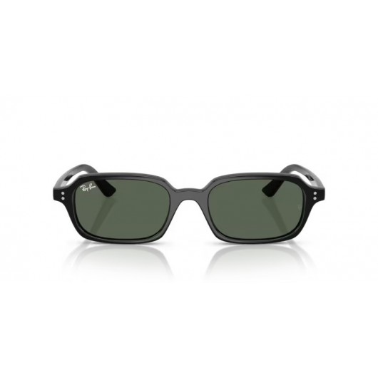 Ray Ban Zuri RB4455 667771