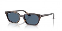 Ray Ban Zaya RB4456 135980