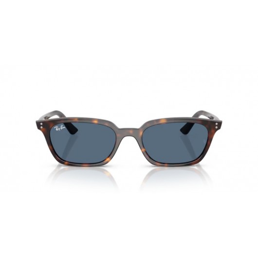 Ray Ban Zaya RB4456 135980