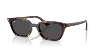 Ray Ban Zaya RB4456 135987