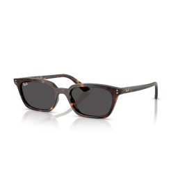 Ray Ban Zaya RB4456 135987 Ray Ban Zaya RB4456 135987