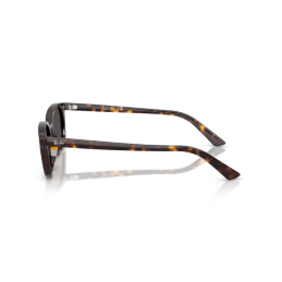 Ray Ban Zaya RB4456 135987 Ray Ban Zaya RB4456 135987