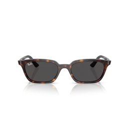 Ray Ban Zaya RB4456 135987 Ray Ban Zaya RB4456 135987