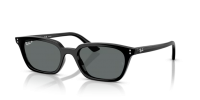 Ray Ban Zaya RB4456 667781