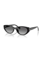 Ray Ban RB4457D 667711
