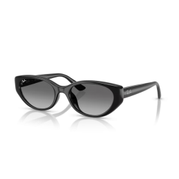 Ray Ban RB4457D 667711 Ray Ban RB4457D 667711