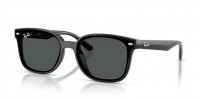 Ray Ban RB4461D 601/87