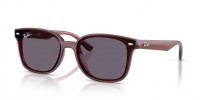 Ray Ban RB4461D 659373